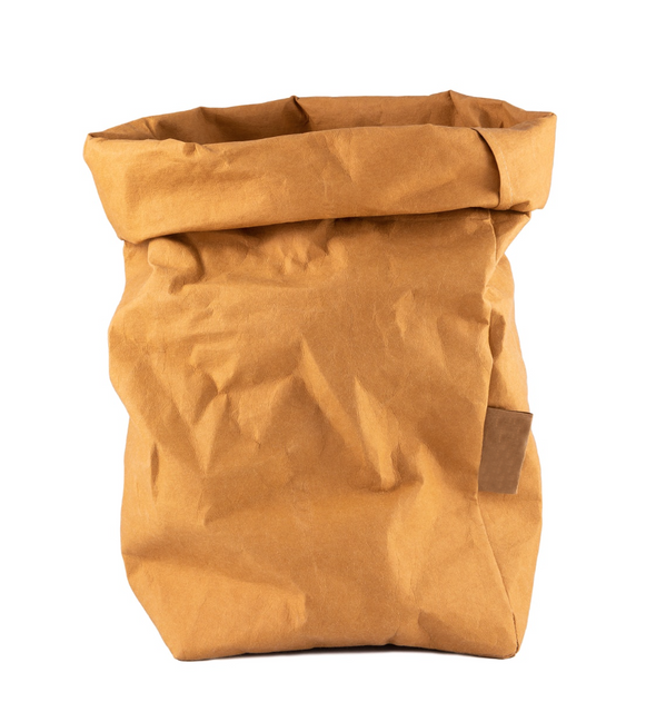  Eco Friendly Backpack kraft paper bag