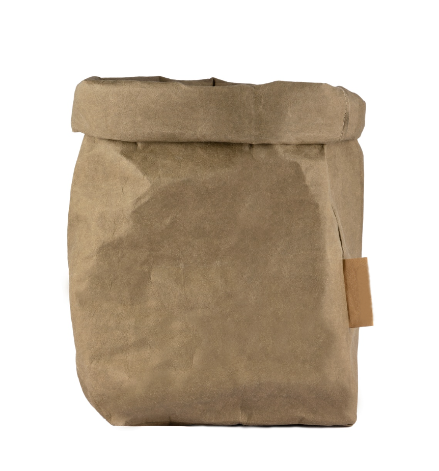  Eco Friendly Backpack kraft paper bag
