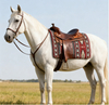 Western style saddle pads, equestrian supplies 