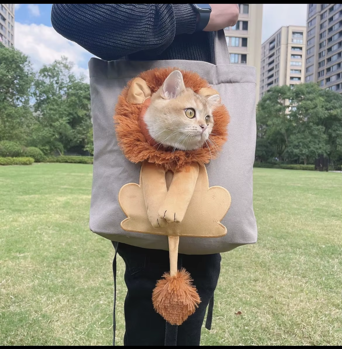 Cute Pet Carrier Go Out Tote Bag