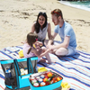 Insulated Cooler Bag for Picnic