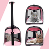  Cat Pet Carrier Airline Approved 