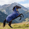 Horse Blanket Horse Stable Blanket 