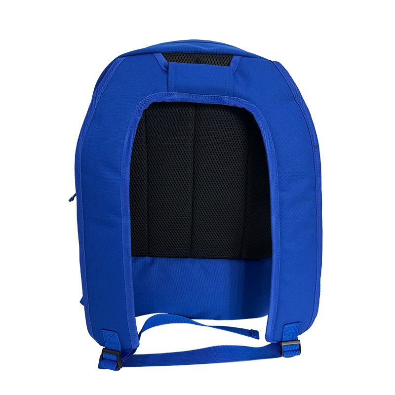 Sports Gym Bag With Shoe Compartment 