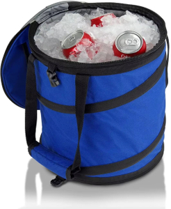 Insulated Collapsible Cooler Bag 