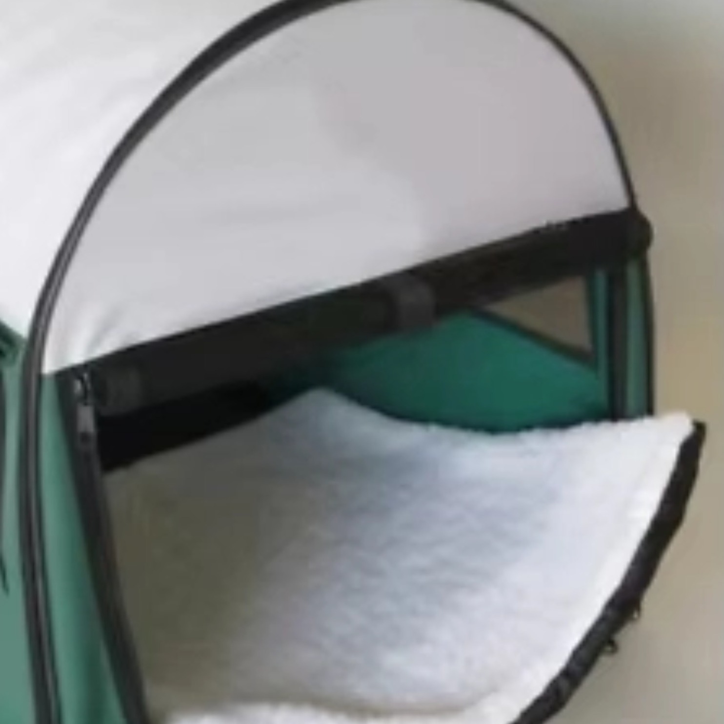 Travel Portable Pet Carrier Green 