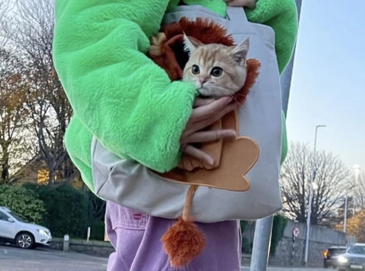 Cute Pet Carrier Go Out Tote Bag