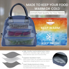  Cooler Picnic Food Lunch Box Bag
