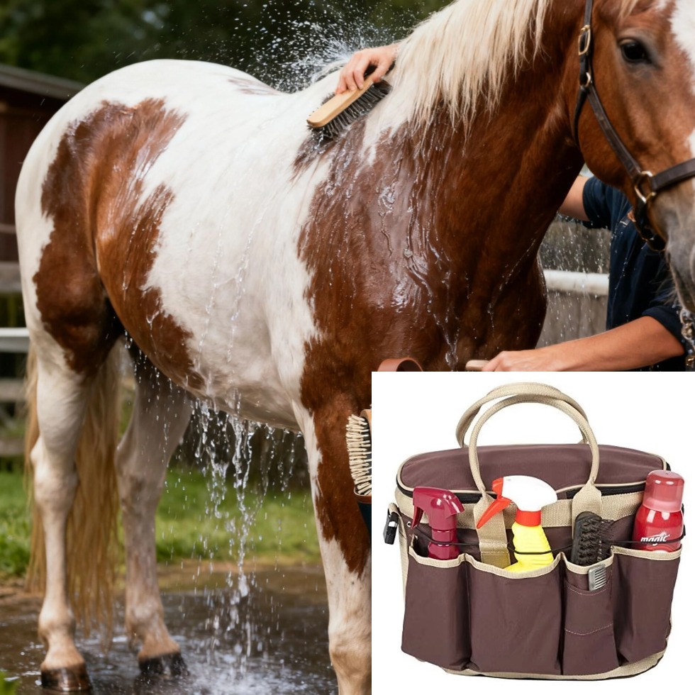  Horse Grooming Bag, Equestrian Equipment 