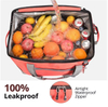 Insulated Picnic Bag Lunch Cooler Bag 