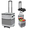 Cooler Bag With Wheels
