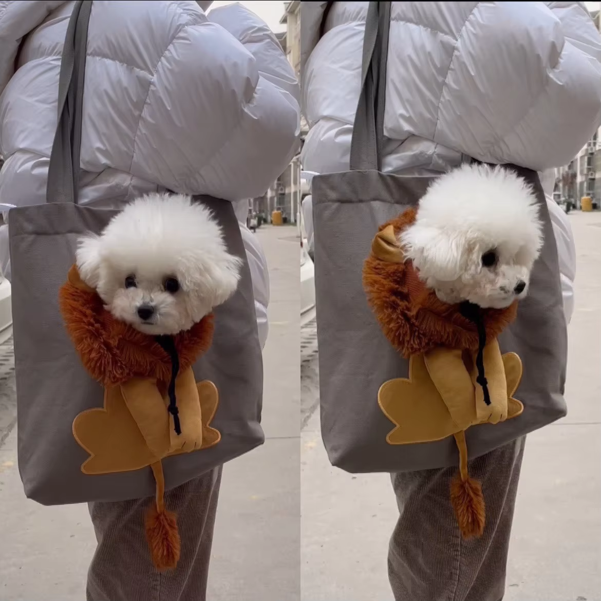 Cute Pet Carrier Go Out Tote Bag