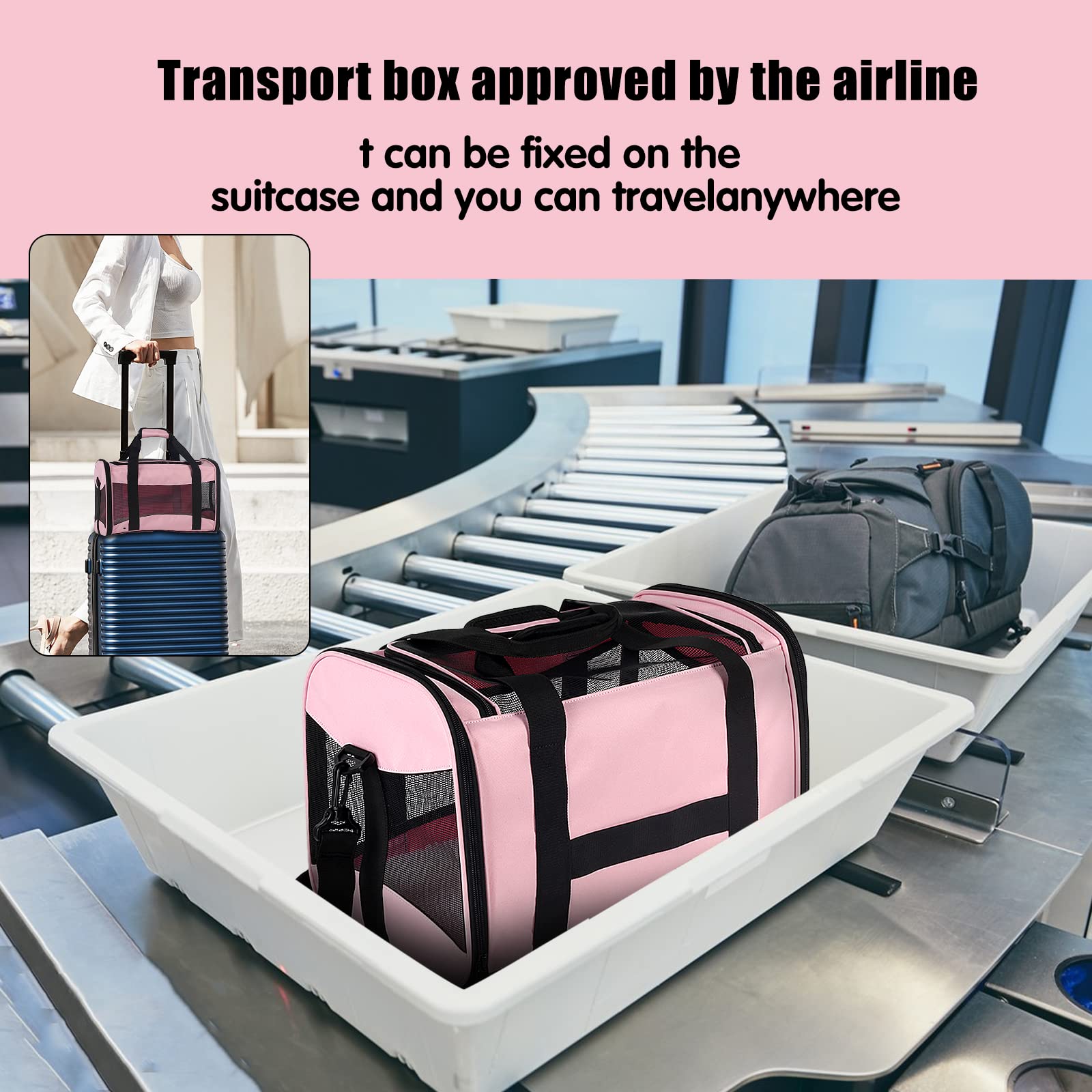  Cat Pet Carrier Airline Approved 